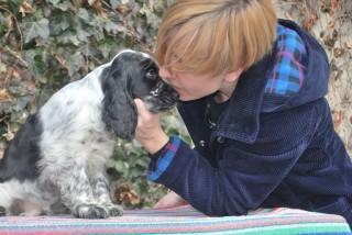 MELODY LASTUG Dacapoalfine - BOLERKO blue roan boy